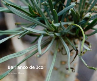 Barranco de Icor book cover