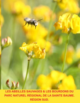 Les abeilles sauvages du Parc Naturel Régional de la Sainte Baume. Région Sud. book cover