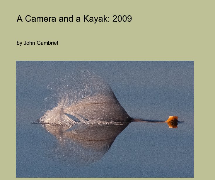 View A Camera and a Kayak: 2009 by John Gambriel