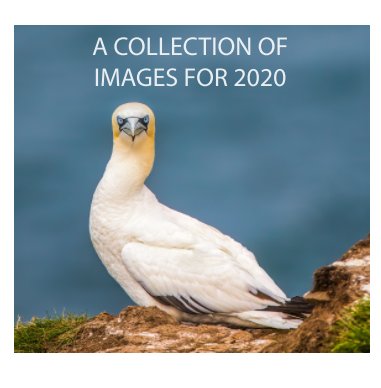 A Collection of Images 2020 book cover