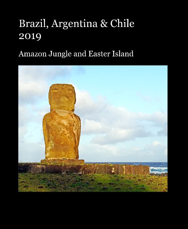View Brazil, Argentina and Chile 2019 by Dennis G. Jarvis