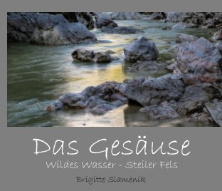 Das Gesäuse book cover