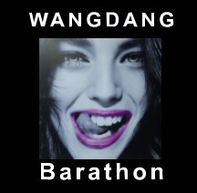Wangdang book cover