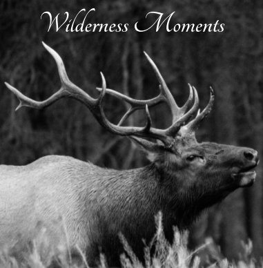 Wilderness Moments book cover
