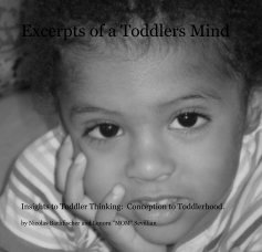Excerpts of a Toddlers Mind book cover