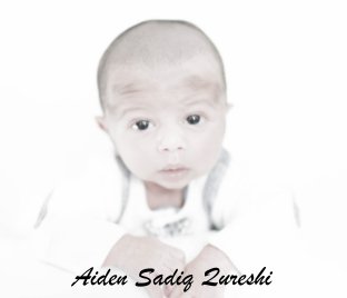 Aiden book cover