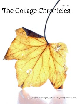 The Collage Chronicles™ - Fall 2019 Economy Edition book cover