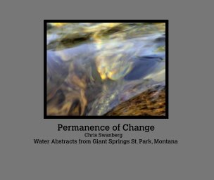 Permanence of Change book cover