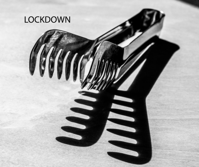 View Lockdown by Richard Stern
