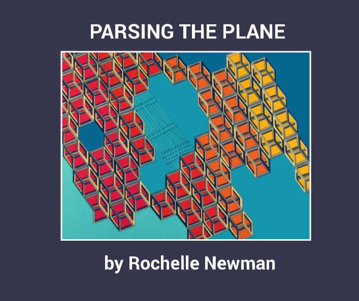 View Parsing the Plane by Rochelle Newman