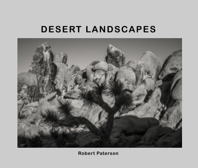 Desert Landscapes book cover