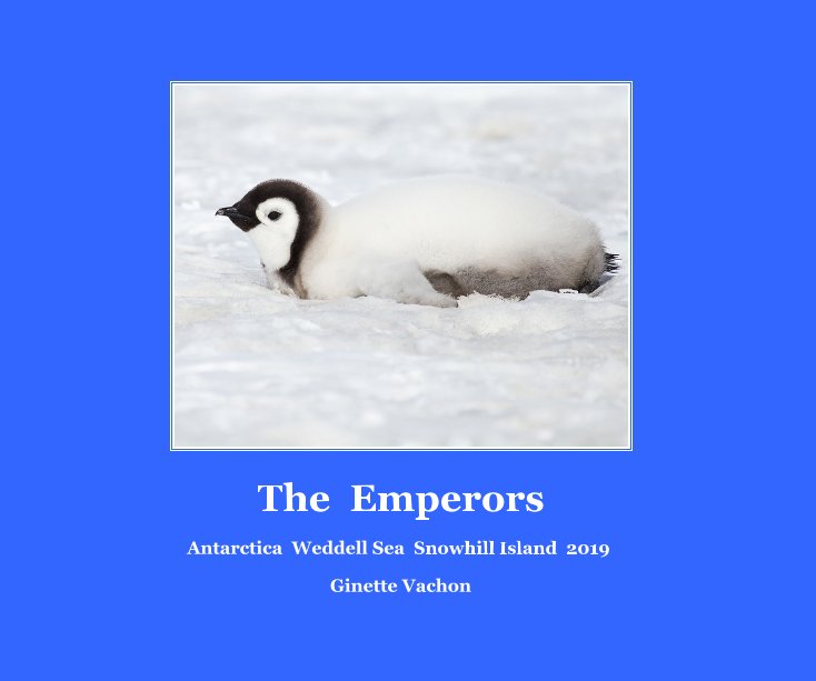 View The Emperors by Ginette Vachon