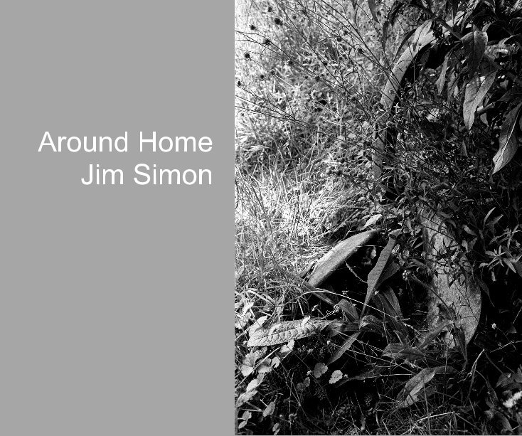 View Around Home by Jim Simon
