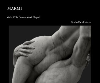 MARMI book cover