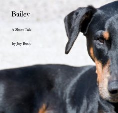 Bailey book cover