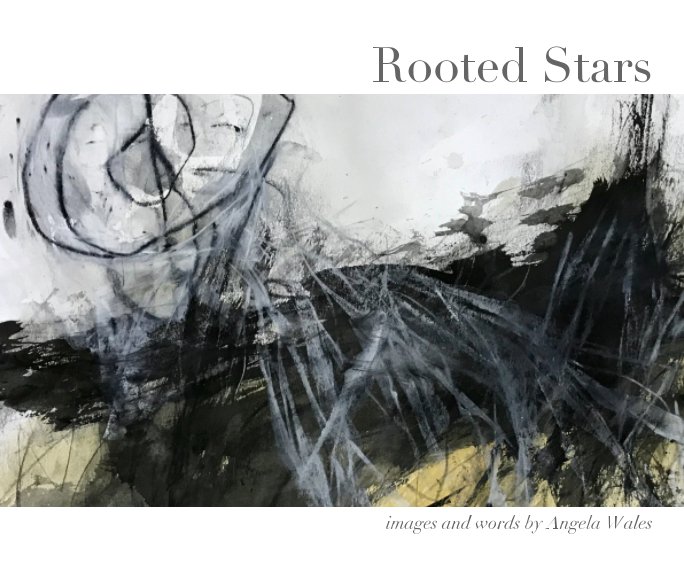 View Rooted Stars by Angela Wales