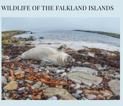 Wildlife of the Falkland Islands book cover