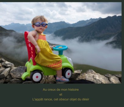 Au creux de mon histoire  et l'appât rance, cet obscure objet du désir book cover