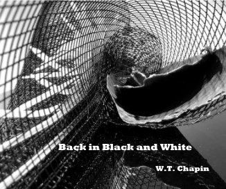 Back in Black and White book cover