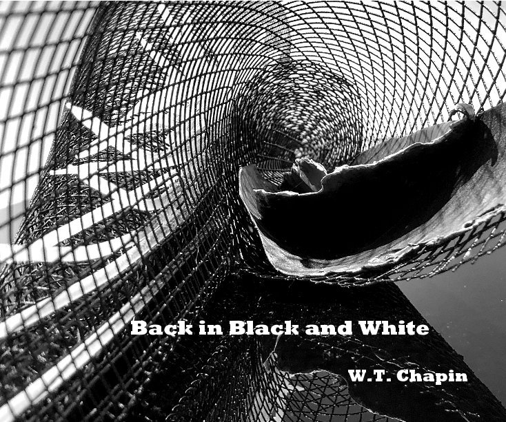 Ver Back in Black and White por WT Chapin