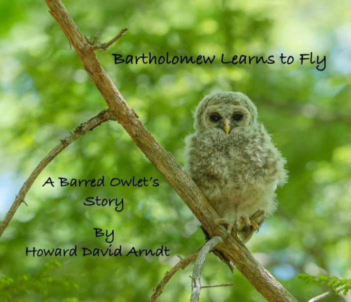 Visualizza Bartholomew Learns to Fly di Howard David Arndt
