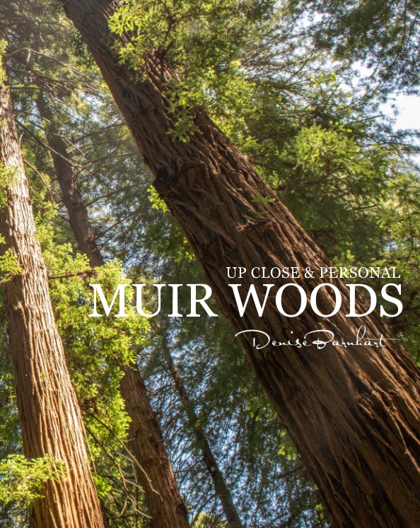 View Muir Woods by Denise Barnhart