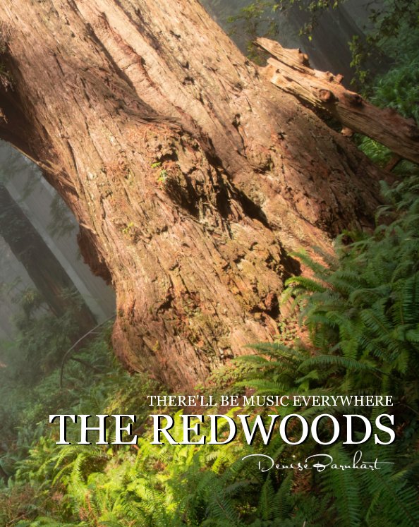 View The Redwoods by Denise Barnhart