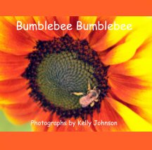 Bumblebee Bumblebee book cover