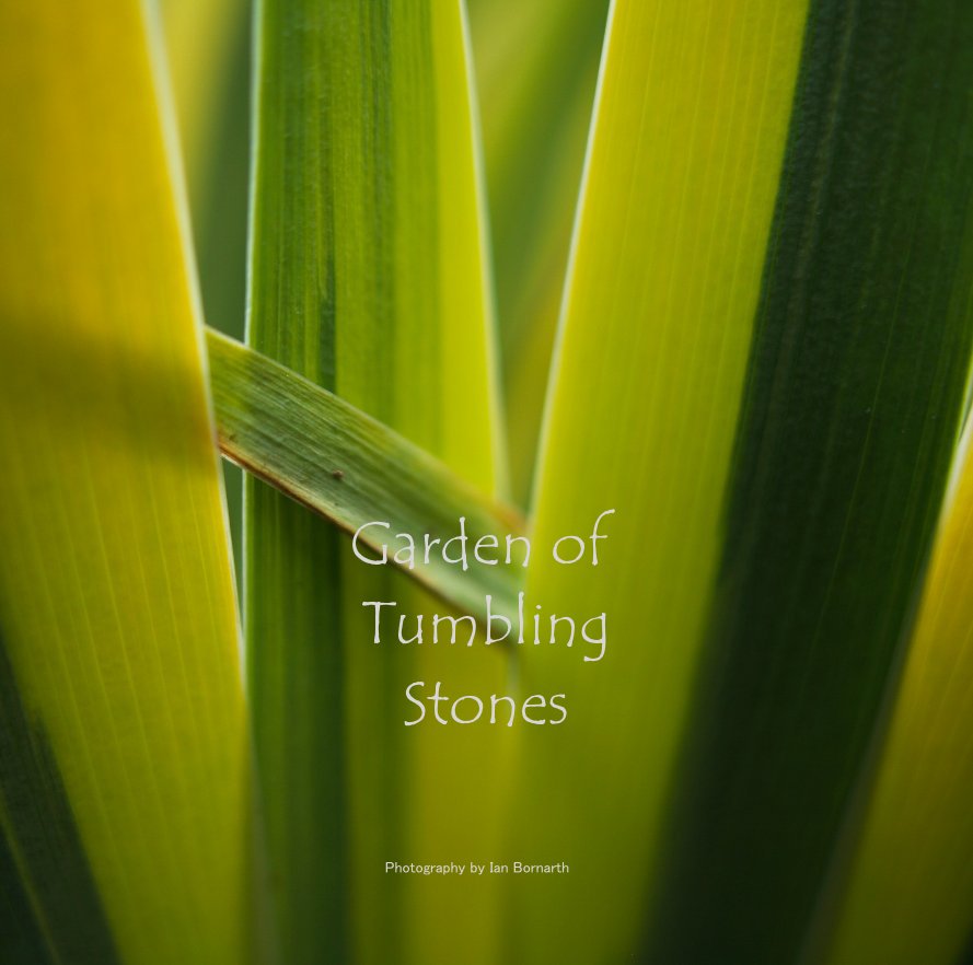 View Garden of Tumbling Stones by Photography by Ian Bornarth