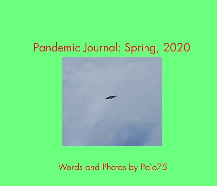 Visualizza Pandemic Journal di Pojo75