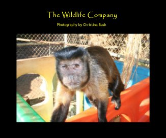 The Wildlife Company book cover