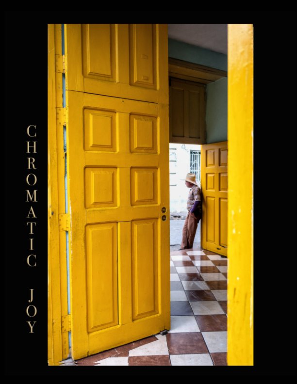 View Chromatic Joy by Donna M Kross