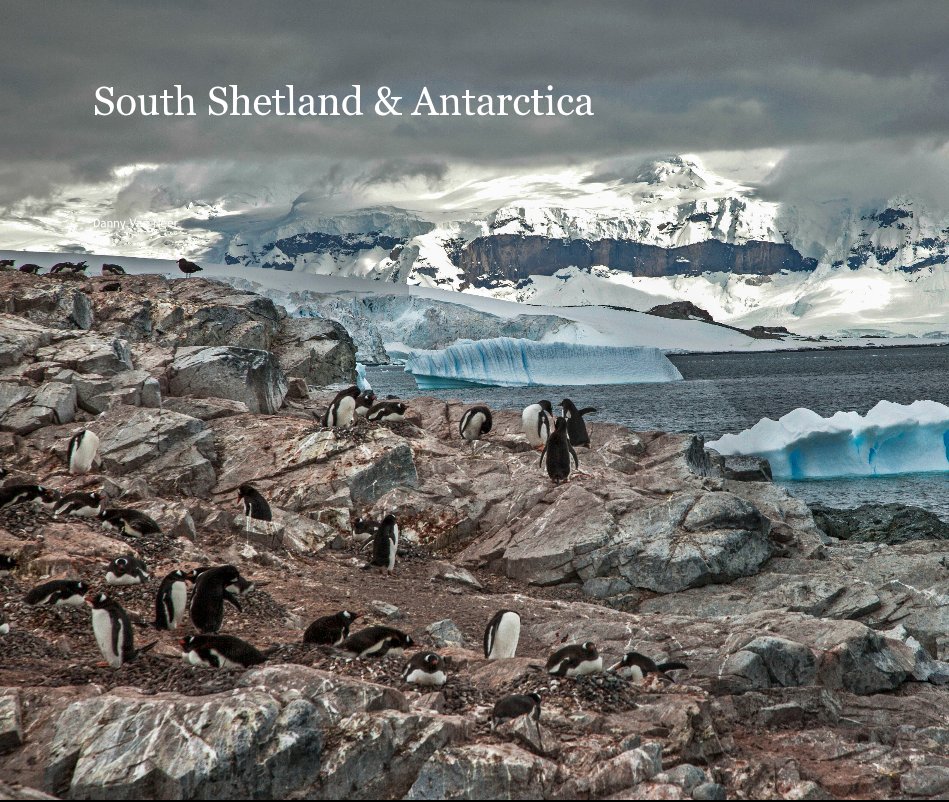 View South Shetland South Georgia Antarctica by Danny Van Neer