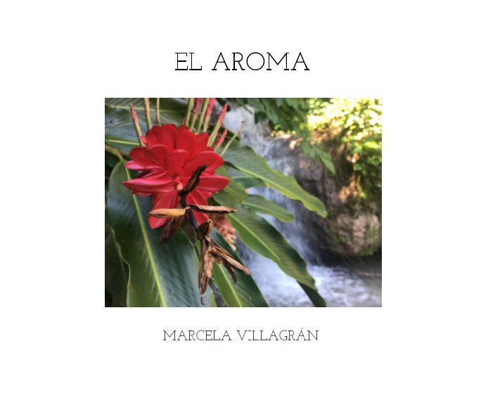 View El Aroma by Marcela Villagran