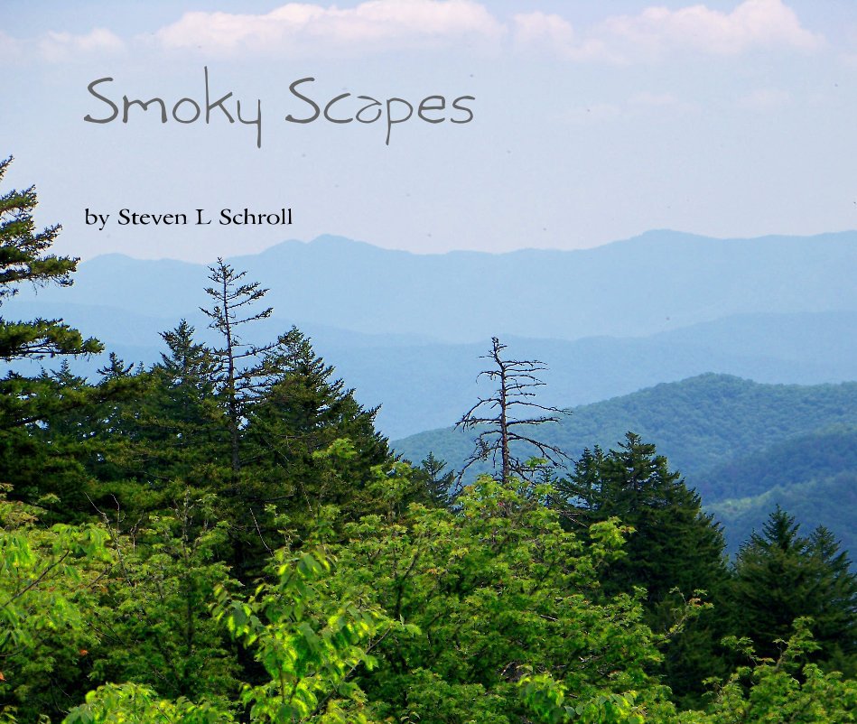View Smoky Scapes by Steven L Schroll