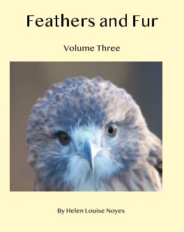 Feathers and Fur Volume Three book cover