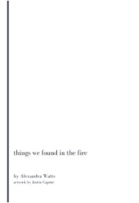 Things We Found in the Fire book cover