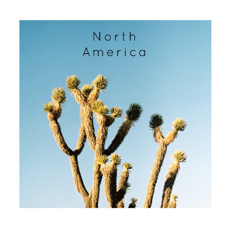 View North America by Joe Byrne
