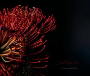 Soliloquies book cover