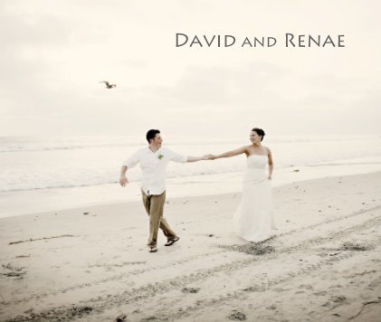 David and Renae book cover