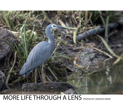 More Life Through a Lens book cover