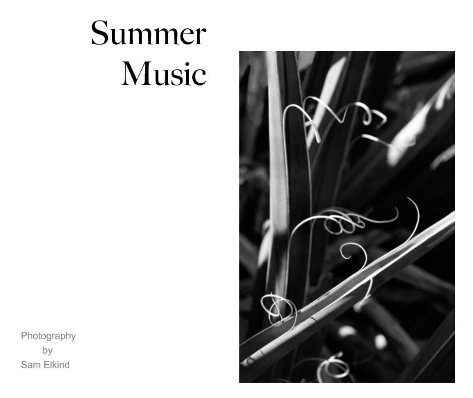 Visualizza Summer Music di Sam Elkind