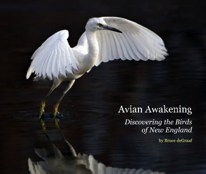 Avian Awakening (13x11 Edition) book cover