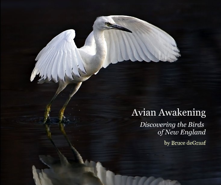 View Avian Awakening (10x8 Edition) by Bruce deGraaf