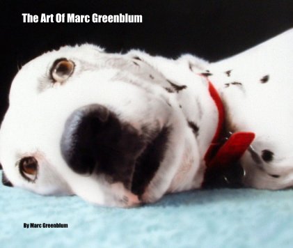The Art Of Marc Greenblum book cover