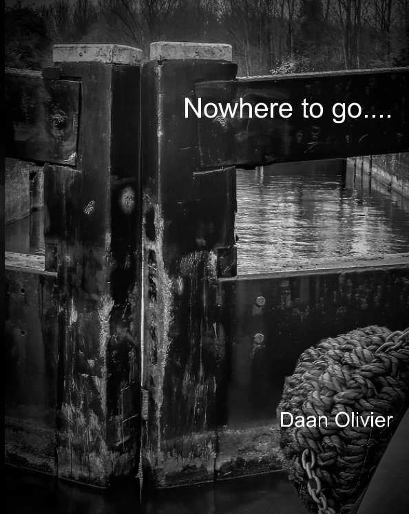 Nowhere to go by Daan Olivier Blurb Books