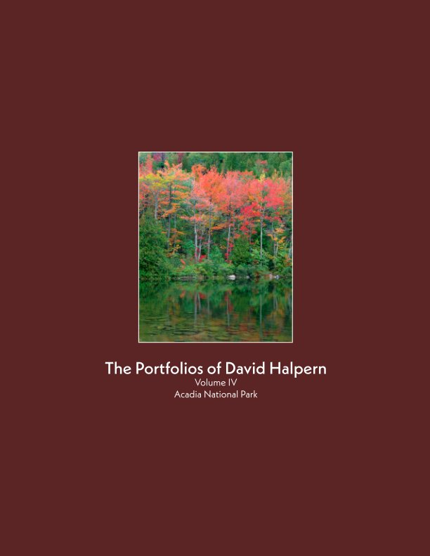 View The Portfolios of David Halpern-Volume IV by David Halpern