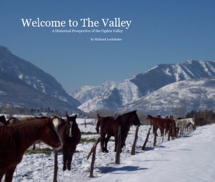 Welcome to The Valley book cover