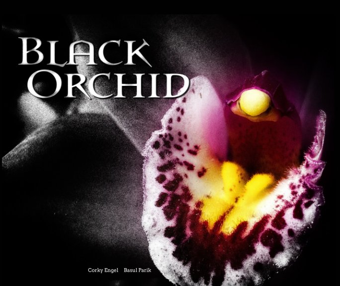 View Black Orchid by Corky Engel, Basul Parik