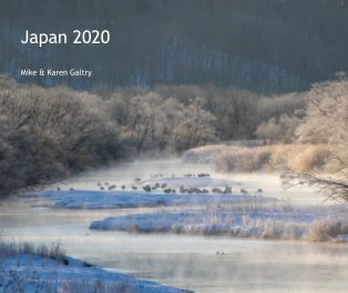 Japan 2020 book cover